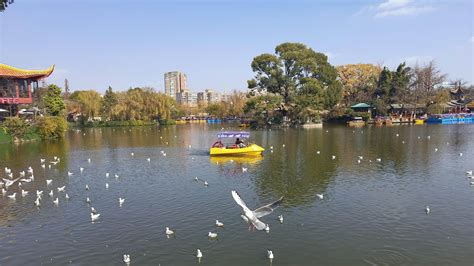 玉合公園怎麼樣？悠遊寧靜與自然共舞